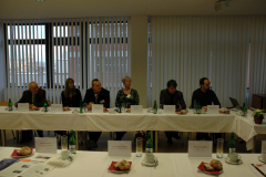 bms-2012-12-011