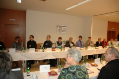 bms-2012-12-016