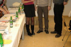 bms-2012-12-062