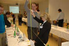 bms-2012-12-072