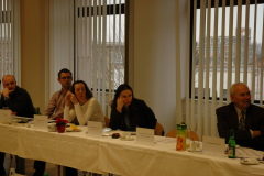 bms-2012-12-087