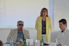 bms-2015-06-013