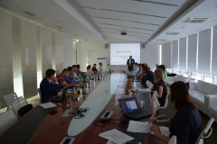 bms-2015-06-017