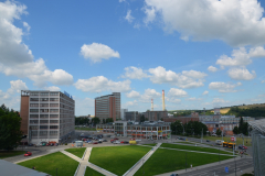 bms-2014-06-124