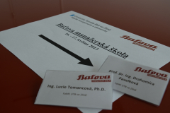 bms-2013-05-024
